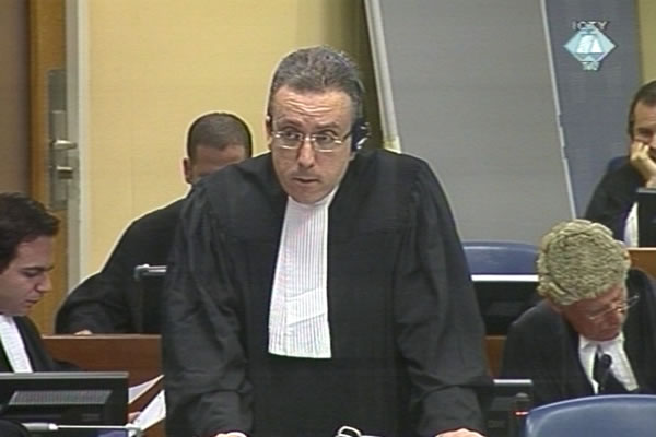 Luka Mišetić branilac Ante Gotovine