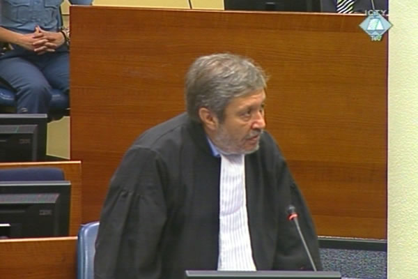 Zoran Živanović,  branilac Gorana Hadžića