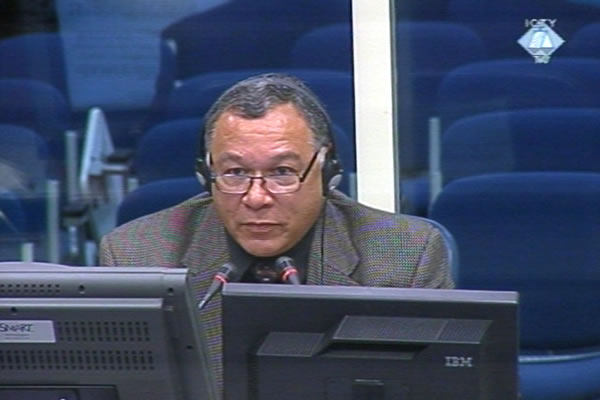 Stephan Joudry, svjedok odbrane Radovana Karadžića 