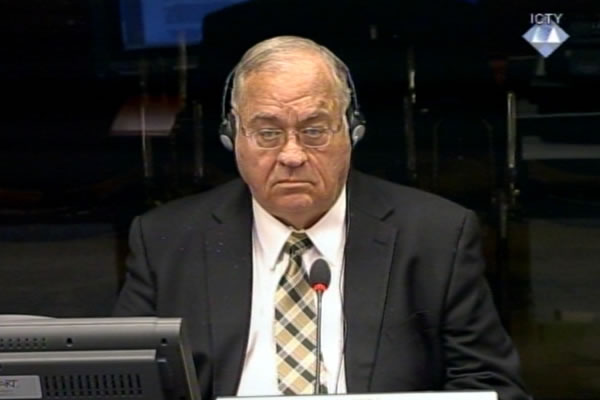 Ronald Hatchett, svjedok odbrane Radovana Karadžića 