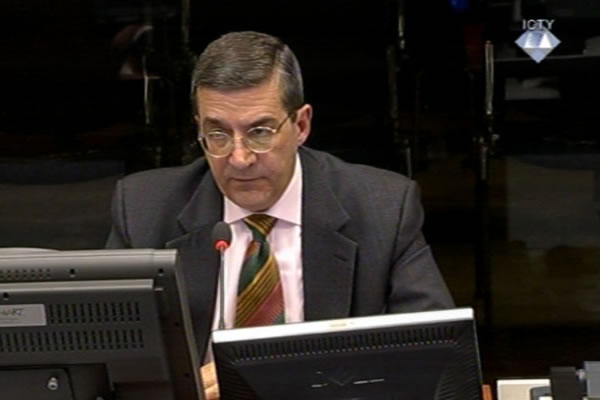 Srđa Trifković, svjedok odbrane Radovana Karadžića 