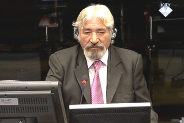 Desimir Šarenac, svjedok odbrane Radovana Karadžića