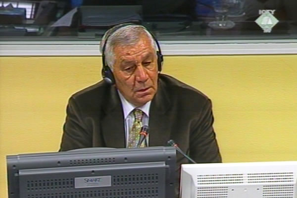 Aleksandar Vasiljević, svjedok na suđenju Goranu Hadžiću