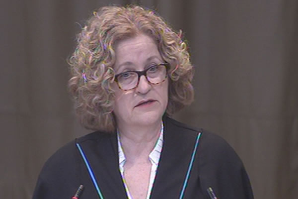 Vesna Crnić-Grotić, šef pravnog tima Hrvatske 