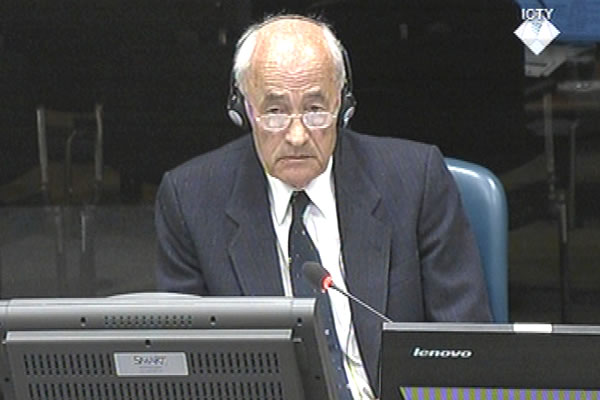 Nikola Erceg, svjedok odbrane Ratka Mladića 