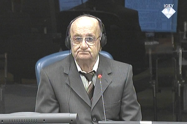 Nedeljko Trkulja, svjedok odbrane Ratka Mladića 