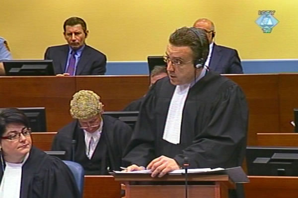 Luka Mišetić, branilac Ante Gotovine