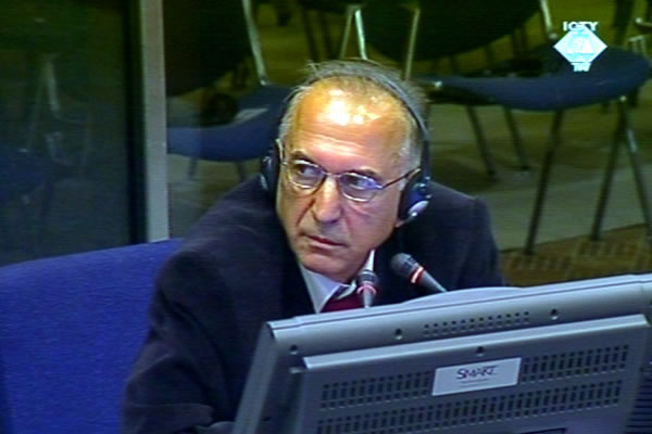 Siniša Borović, svjedok odbrane Momčila Perišića
