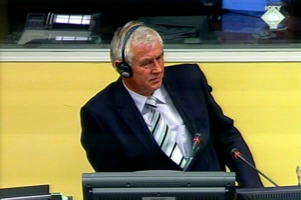 Stojan Malčić, svjedok odbrane Momčila Perišića