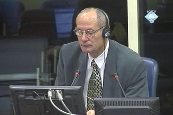 Vojislav Babić, svjedok odbrane Radivoja Miletića