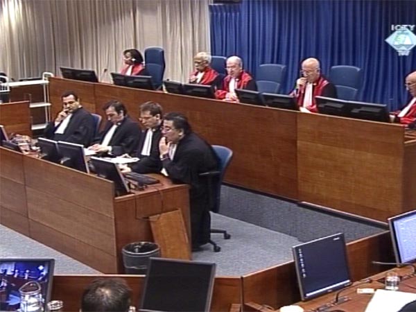 Žalbeno vijeće Tribunala